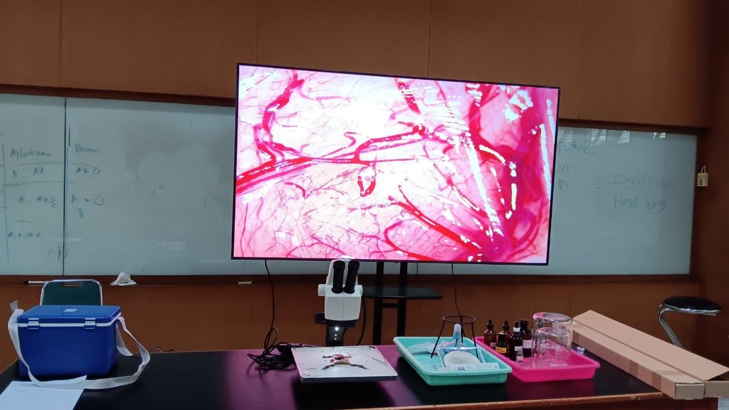 Laboratorium Struktur Dan Fungsi foto 1