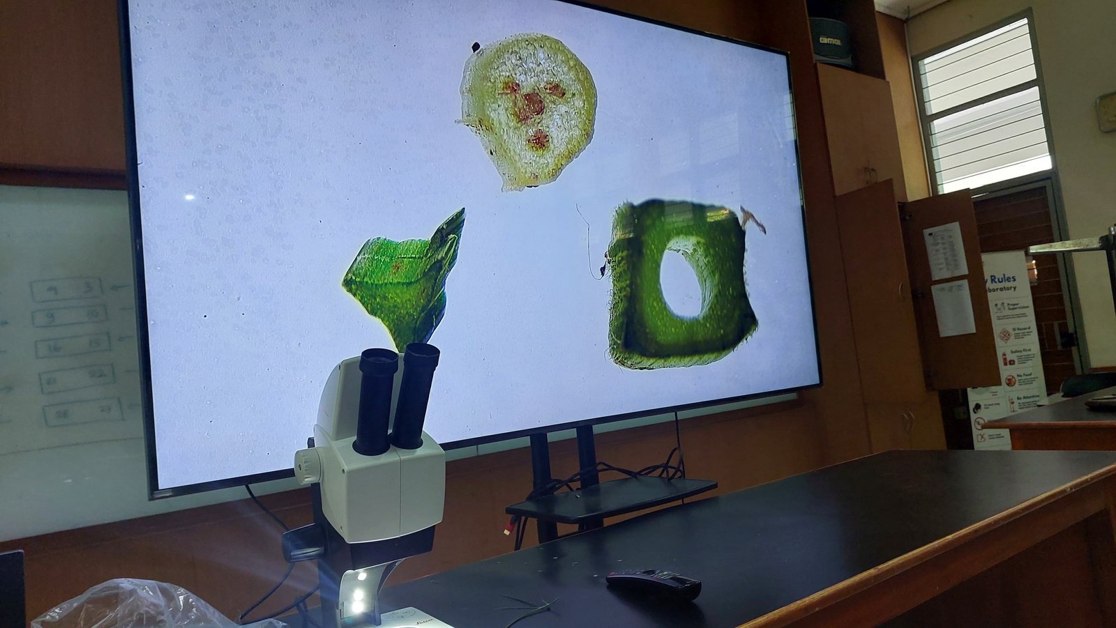 Laboratorium Biosistematika Dan Molekuler foto 1