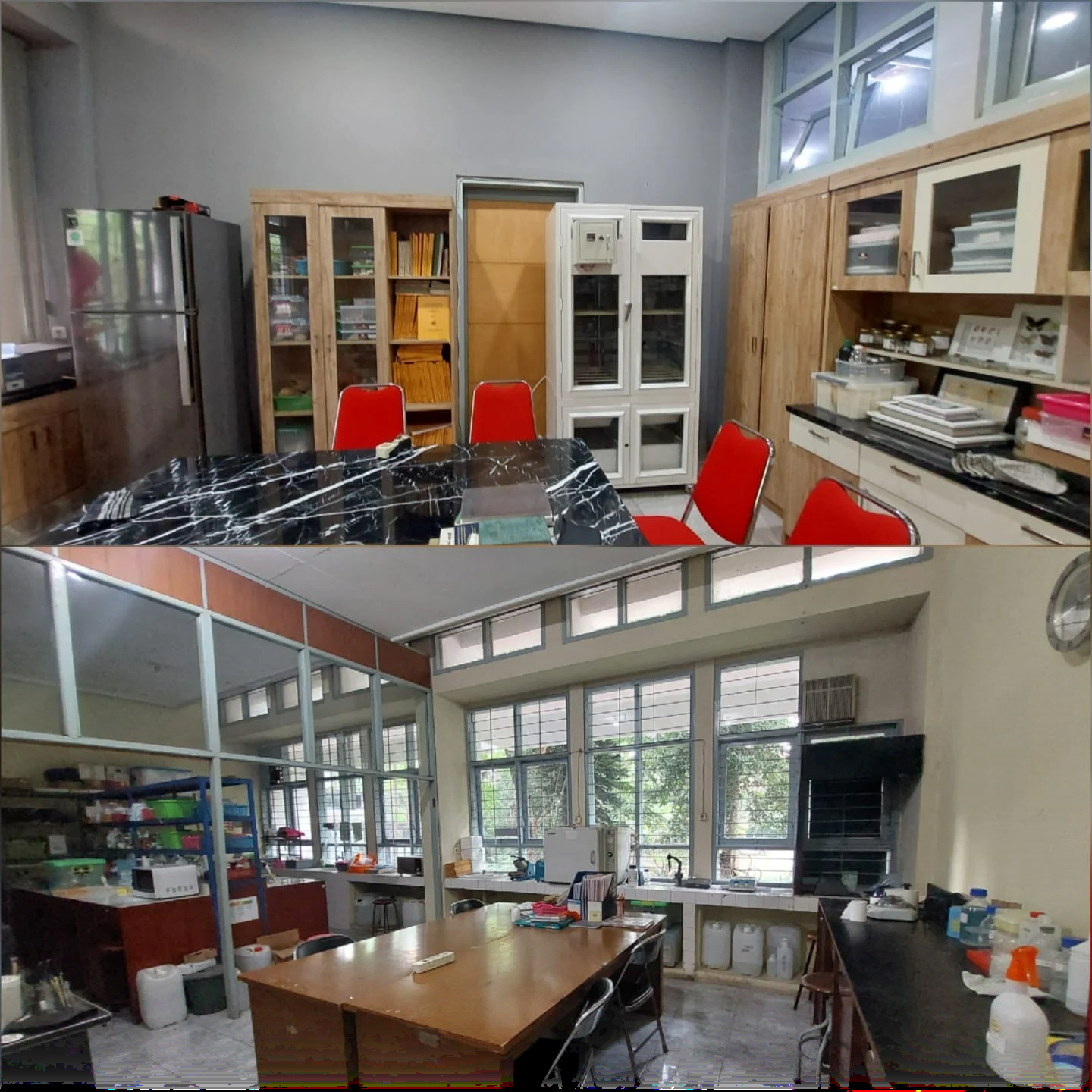 Laboratorium Biosistematika Dan Molekuler foto 3